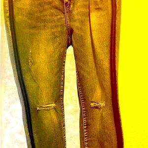Jeans -Vertigo+ Size 18